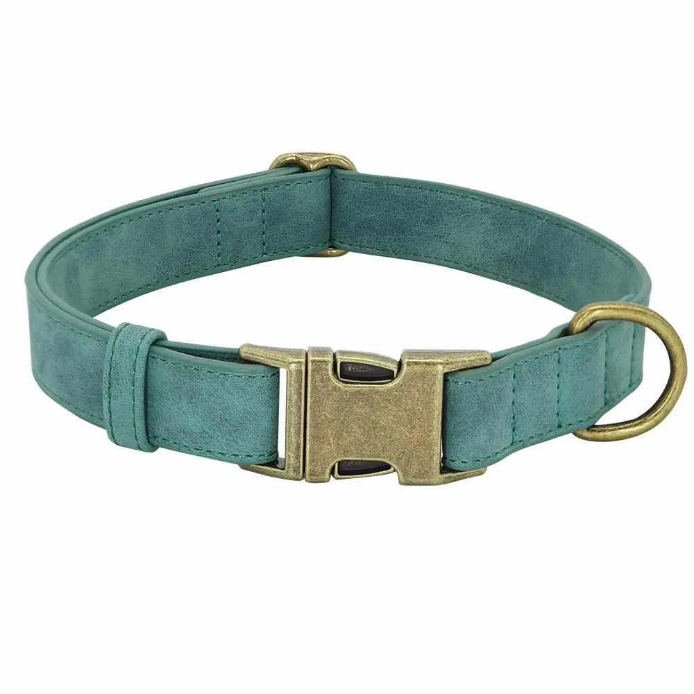 Edles Hundehalsband im Vintagelook mit Messingschnalle und kostenloser Gravur Name und Telefon - Medikratz