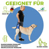 Hunde Tragehilfe hinten