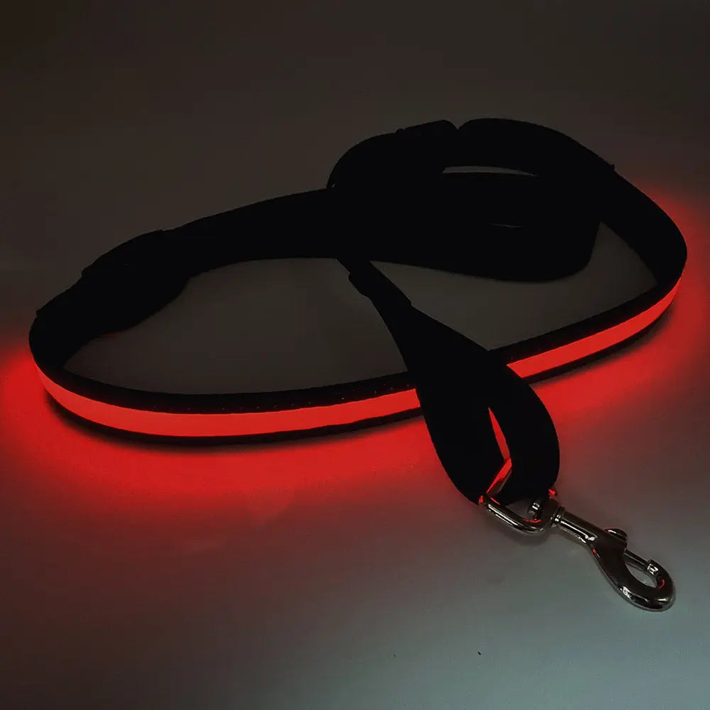 LED leuchtende Hundeleine mit USB, 120-150 cm - Medikratz