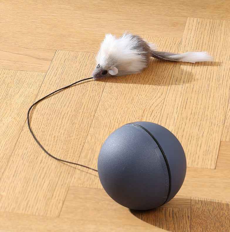 MAUSBALL - interaktives Katzenspielzeug, Ball für Katzen, Selbstbeschäftigung & Bewegung - Medikratz