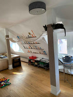 Individueller Wandpark: Maßgeschneidertes Katzenparadies nach Ihren Wünschen!