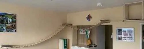 Medikratz Eckpark – Der platzsparende Klettertraum für Ihre Katze Medikratz