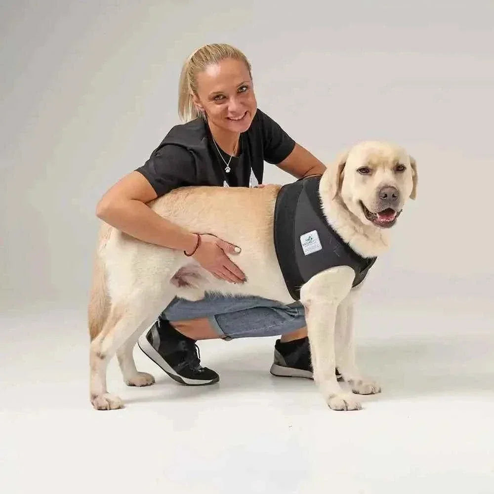 Schulter Abduktion Bandage für Hunde - Medikratz