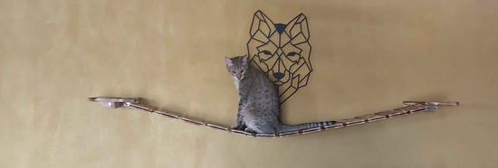 Wandpark Stilvolles Katzenparadies