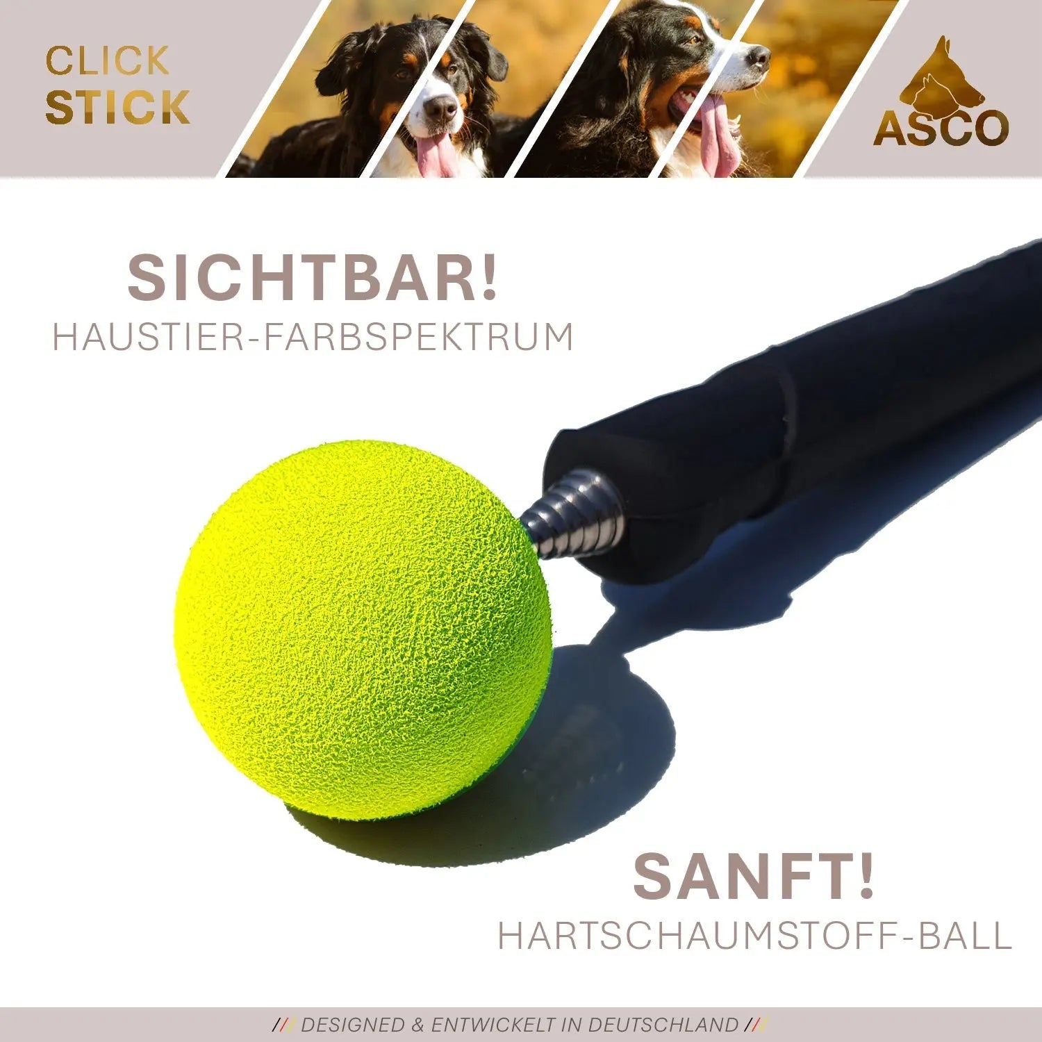 ASCO ClickStick - Target Stick mit abnehmbarem Premium Clicker - Target Stab für Hunde Katzen Clickertraining - Targetstick ausziehbar mit extra Klicker - Targetstab für Target-Training - Medikratz 