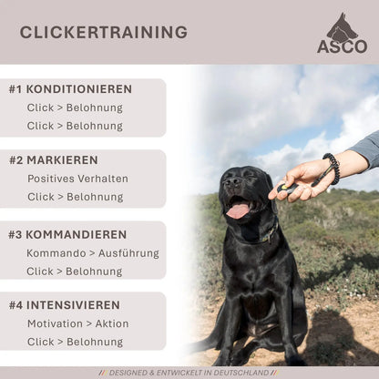 ASCO ClickStick - Target Stick mit abnehmbarem Premium Clicker - Target Stab für Hunde Katzen Clickertraining - Targetstick ausziehbar mit extra Klicker - Targetstab für Target-Training - Medikratz 