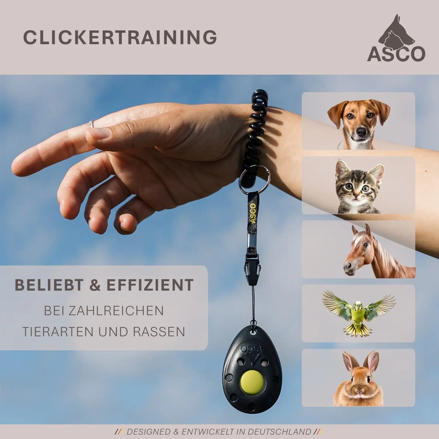 ASCO Premium Clicker – Clickertraining Profi Klicker für Hunde, Katzen, Pferde - Medikratz 