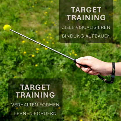 ASCO Target Stick - Target Stab für Hunde Katzen Targettraining - Targetstick ausziehbar mit Softball - Edelstahl Targetstab mit Teleskopfunktion - Medikratz 