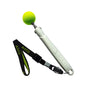ASCO Target Stick - Target Stab für Hunde Katzen Targettraining - Targetstick ausziehbar mit Softball - Edelstahl Targetstab mit Teleskopfunktion - Medikratz 