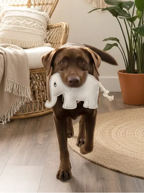 BUDDY. Hundespielzeug aus Leder "Elefant" - Medikratz 