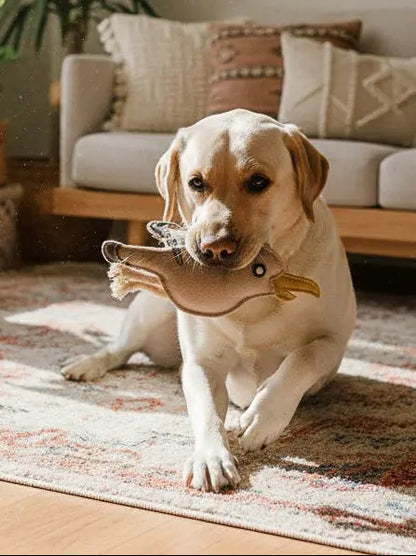 BUDDY. Hundespielzeug aus Leder "Möwe" - Medikratz 