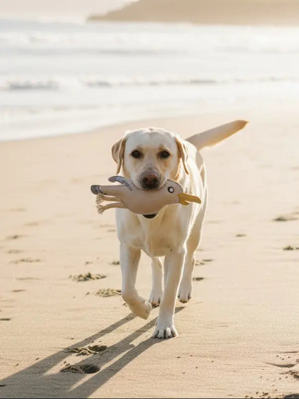 BUDDY. Hundespielzeug aus Leder "Möwe" - Medikratz 
