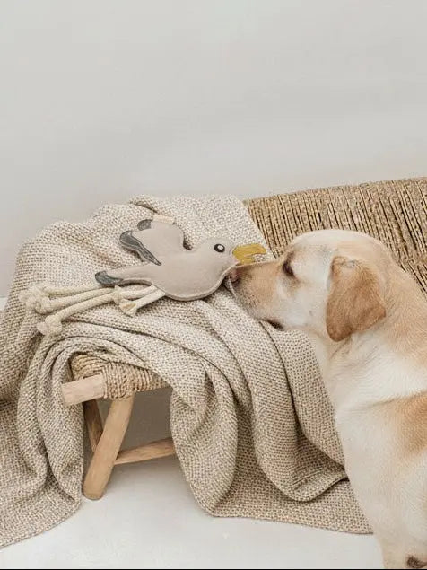 BUDDY. Hundespielzeug aus Leder "Möwe" - Medikratz 