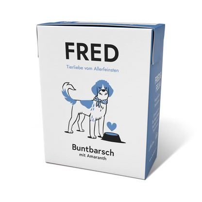 Buntbarsch mit Amaranth FRED & FELIA