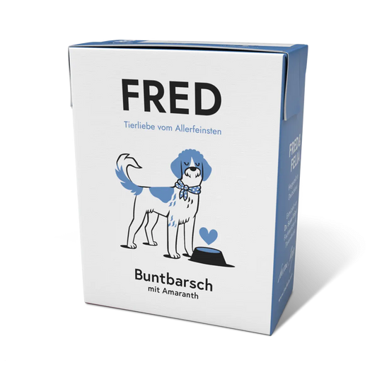Buntbarsch mit Amaranth FRED & FELIA