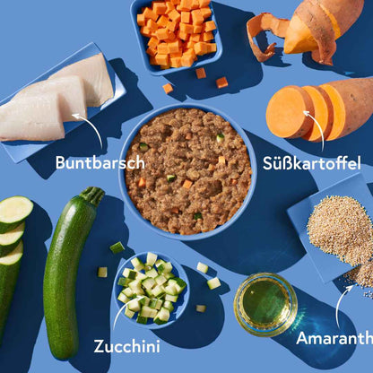 Buntbarsch mit Amaranth FRED & FELIA