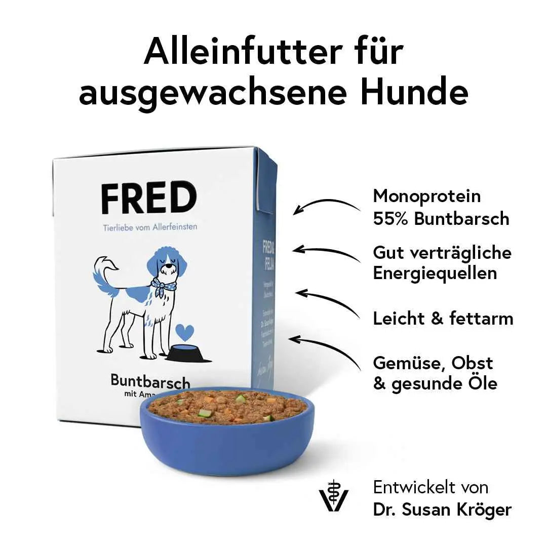 Buntbarsch mit Amaranth FRED & FELIA