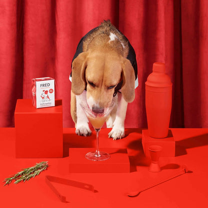 Dog Drink "Wuffmopolitan" FRED & FELIA