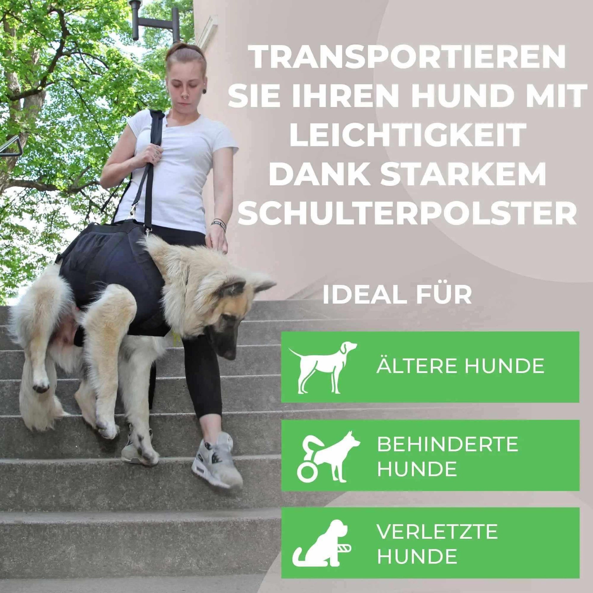Durchgehende Tragehilfe für Hunde - Medikratz 