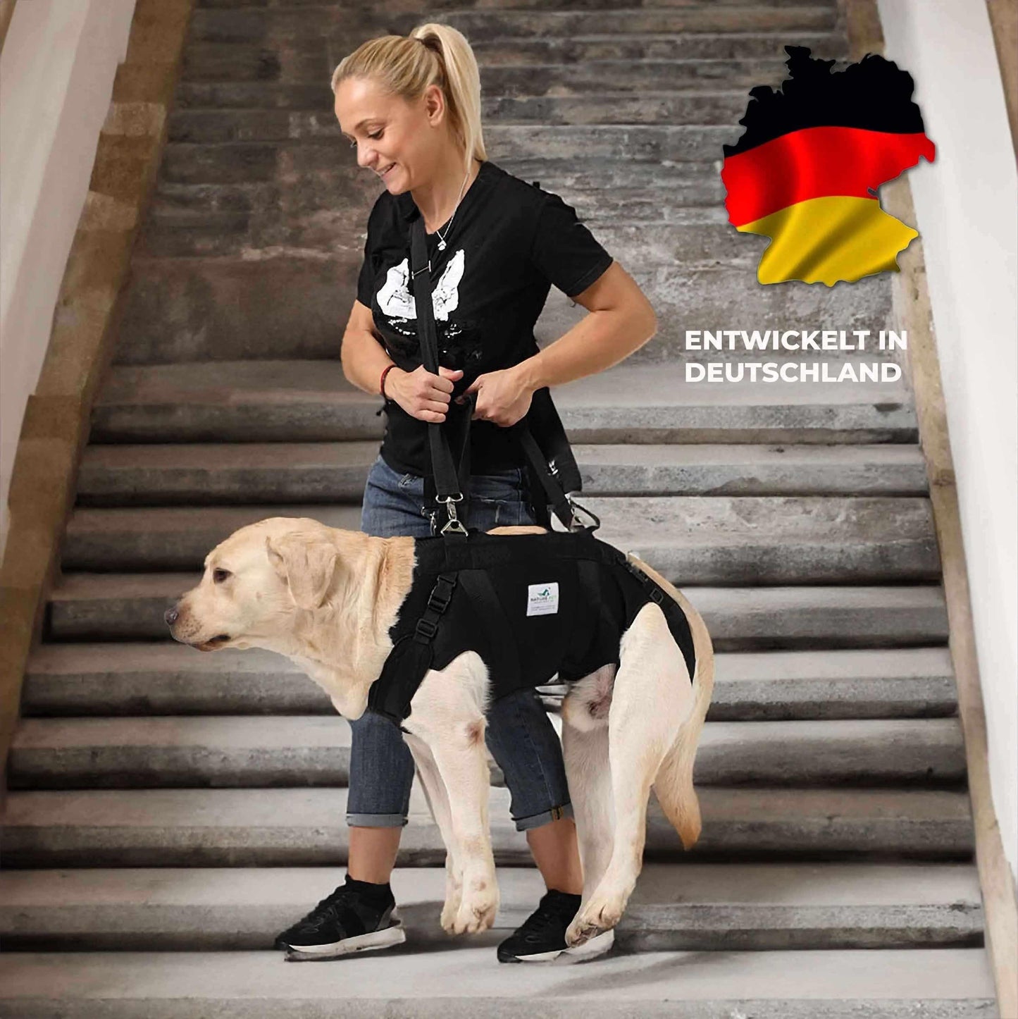 Durchgehende Tragehilfe für Hunde - Medikratz 