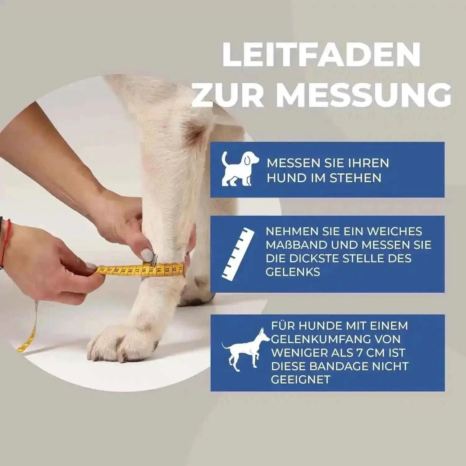 Durchtrittigkeits Bandage für Hunde mit Turbocast - Medikratz 