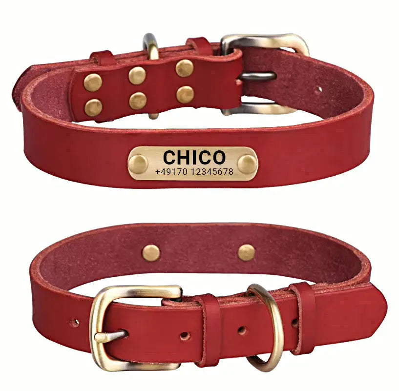 Echtleder Hundehalsband mit Messingschnalle in vier Farben und gratis Gravur Name und Telefon - Medikratz 