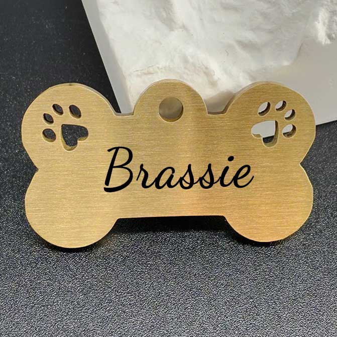 Edle Hundemarke aus Messing "Brassie" mit Pfötchen-Design und individueller Gravur mypfote.com