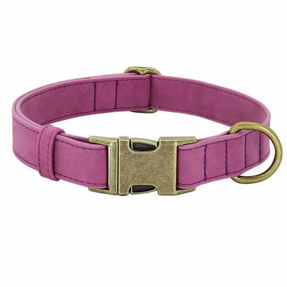 Edles Hundehalsband im Vintagelook mit Messingschnalle und kostenloser Gravur Name und Telefon - Medikratz 