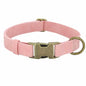 Edles Hundehalsband im Vintagelook mit Messingschnalle und kostenloser Gravur Name und Telefon - Medikratz 