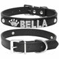 Edles Hundehalsband personalisiert mit Glitzersteinen + Symbol - Medikratz 