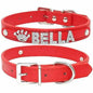 Edles Hundehalsband personalisiert mit Glitzersteinen + Symbol - Medikratz 