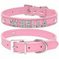 Edles Hundehalsband personalisiert mit Glitzersteinen + Symbol - Medikratz 