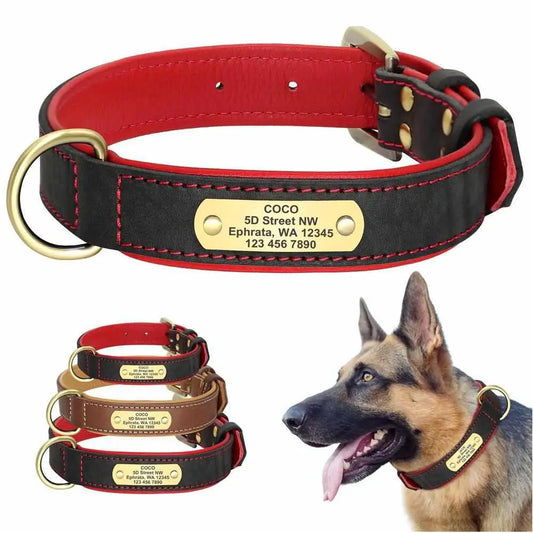 Exklusives Leder Hundehalsband mit Namen und Telefon graviert - Medikratz 