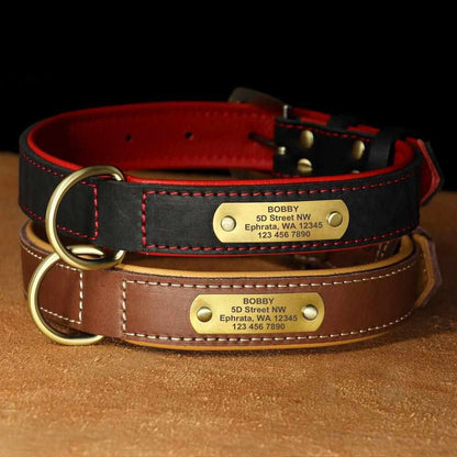 Exklusives Leder Hundehalsband mit Namen und Telefon graviert - Medikratz 