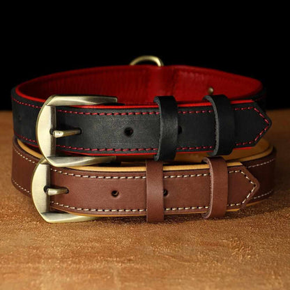 Exklusives Leder Hundehalsband mit Namen und Telefon graviert - Medikratz 