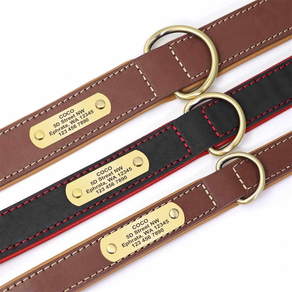 Exklusives Leder Hundehalsband mit Namen und Telefon graviert - Medikratz 