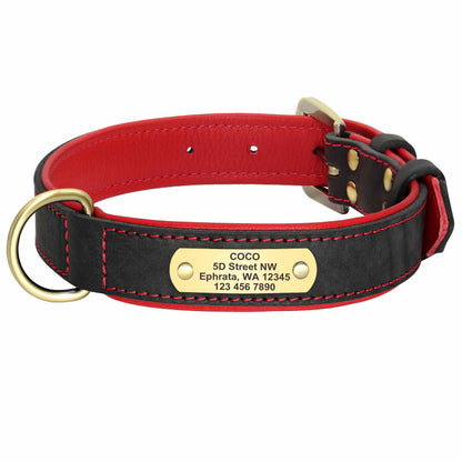 Exklusives Leder Hundehalsband mit Namen und Telefon graviert - Medikratz 