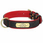 Exklusives Leder Hundehalsband mit Namen und Telefon graviert - Medikratz 