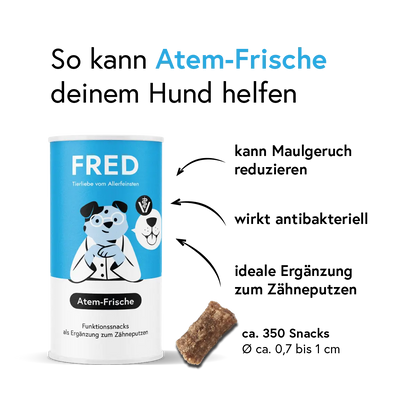 Funktionssnack Atem-Frische FRED & FELIA