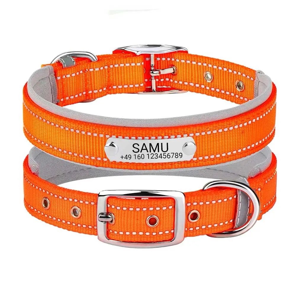 Graviertes Hundehalsband "Samu" mit Reflektor-Sicherheitsnähten. Personalisierung mit Name und Telefon - Medikratz 