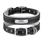 Graviertes Hundehalsband "Samu" mit Reflektor-Sicherheitsnähten. Personalisierung mit Name und Telefon - Medikratz 