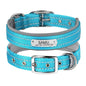 Graviertes Hundehalsband "Samu" mit Reflektor-Sicherheitsnähten. Personalisierung mit Name und Telefon - Medikratz 