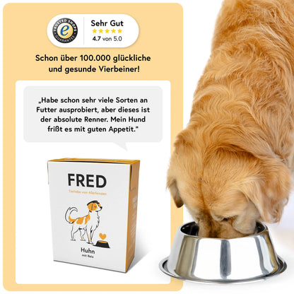 Huhn mit Reis FRED & FELIA