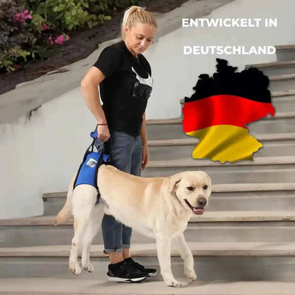 Hunde Tragehilfe hinten - Medikratz 