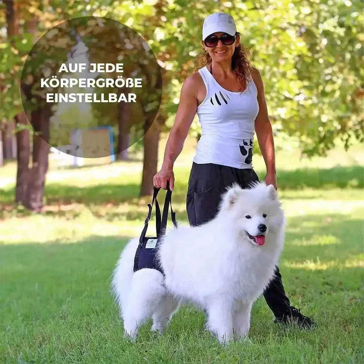 Hunde Tragehilfe hinten - Medikratz 