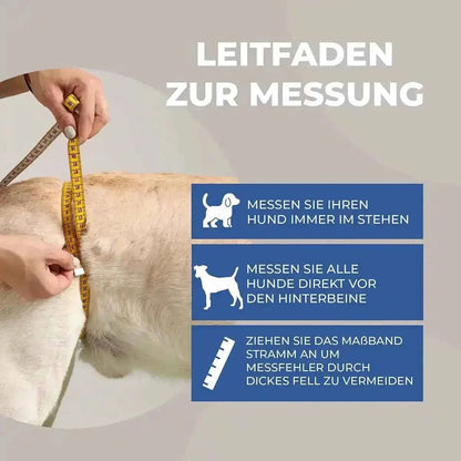Hunde Tragehilfe hinten - Medikratz 