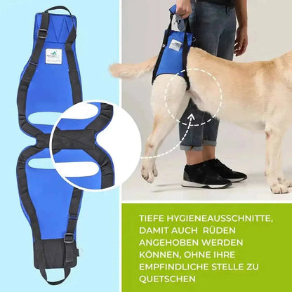 Hunde Tragehilfe hinten - Medikratz 
