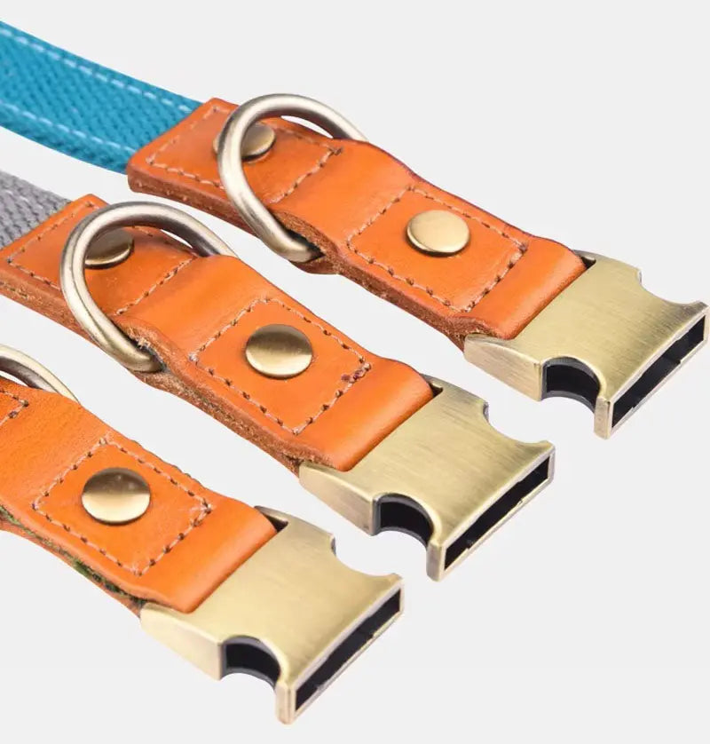 Hundehalsband "Valdo" mit Gravur – robustes PE-Gewebe & Leder – Messing matt – Marineblau, Hellblau oder Grün (S–L) - Medikratz 