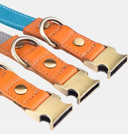 Hundehalsband "Valdo" mit Gravur – robustes PE-Gewebe & Leder – Messing matt – Marineblau, Hellblau oder Grün (S–L) - Medikratz 