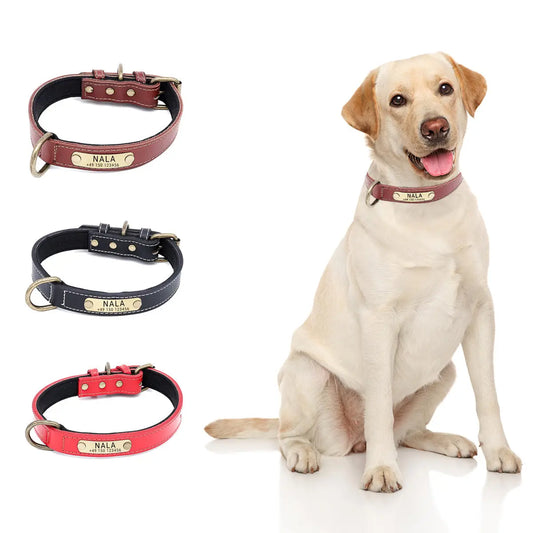 Hundehalsband mit Namen auf Messingschild aus hochwertigem Leder, Innenpolsterung aus Neopren, 2 massive D-Ringe - Medikratz 